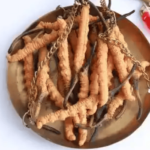 冬蟲夏草是什麼​？