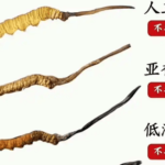 冬蟲夏草對人體有什麼好處？