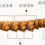 冬蟲夏草是藥嗎？