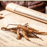 冬蟲夏草可以止咳嗎？