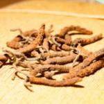 吃冬蟲夏草會上火嗎？