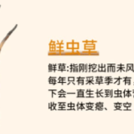 冬蟲夏草有營養價值嗎？