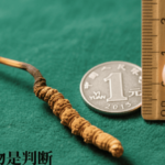 網購冬蟲夏草風險多？