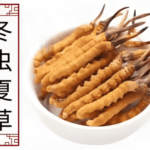 冬蟲夏草膠囊與原草有何不同？
