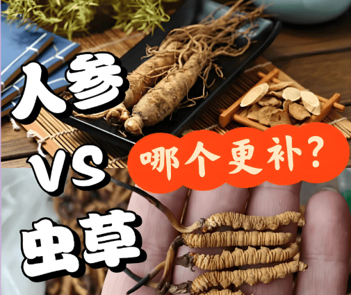 冬蟲夏草與人參能一起吃嗎