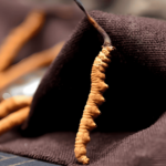 蟲草為何如此珍貴？