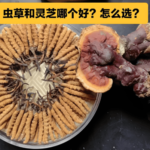 冬蟲夏草和靈芝哪個效果好
