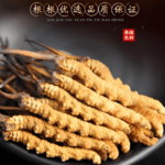 哪些地方冬蟲夏草最正宗