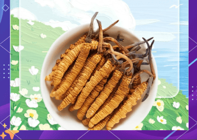 冬蟲夏草真的有壯陽作用嗎