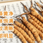 如何正確食用冬蟲夏草？