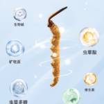 冬蟲夏草價格真相大揭密