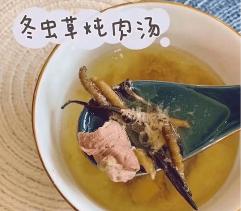 冬蟲夏草功效全解析