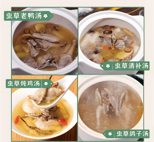 冬蟲夏草泡水、煲湯、入藥