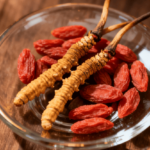 頂級冬蟲夏草功效解析