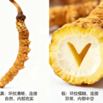 冬蟲夏草真假怎麼分辨