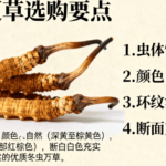 冬蟲夏草選購指南