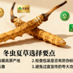 冬蟲夏草品牌推薦