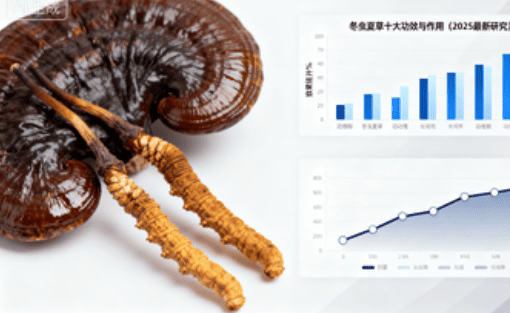 冬蟲夏草功效