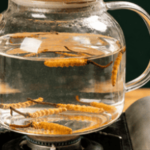 冬蟲夏草 怎麼煮