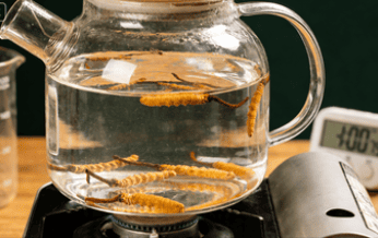 冬蟲夏草 怎麼煮