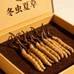 冬蟲夏草一克多少錢
