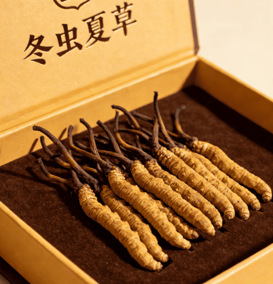 冬蟲夏草一克多少錢