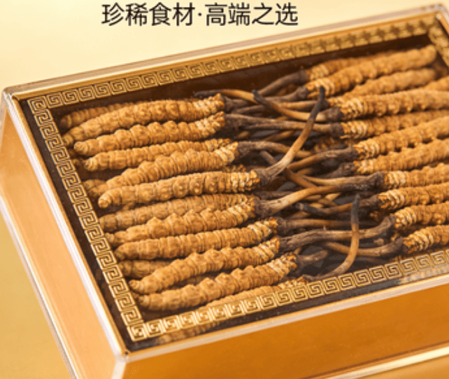 冬蟲夏草 禮盒