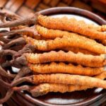 冬蟲夏草哪裡買