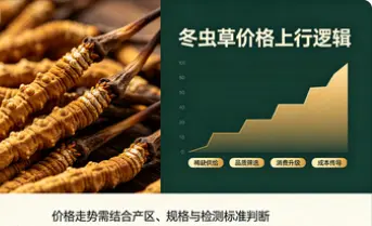 2026冬蟲夏草價格走勢：為什麼高品質蟲草越來越貴？